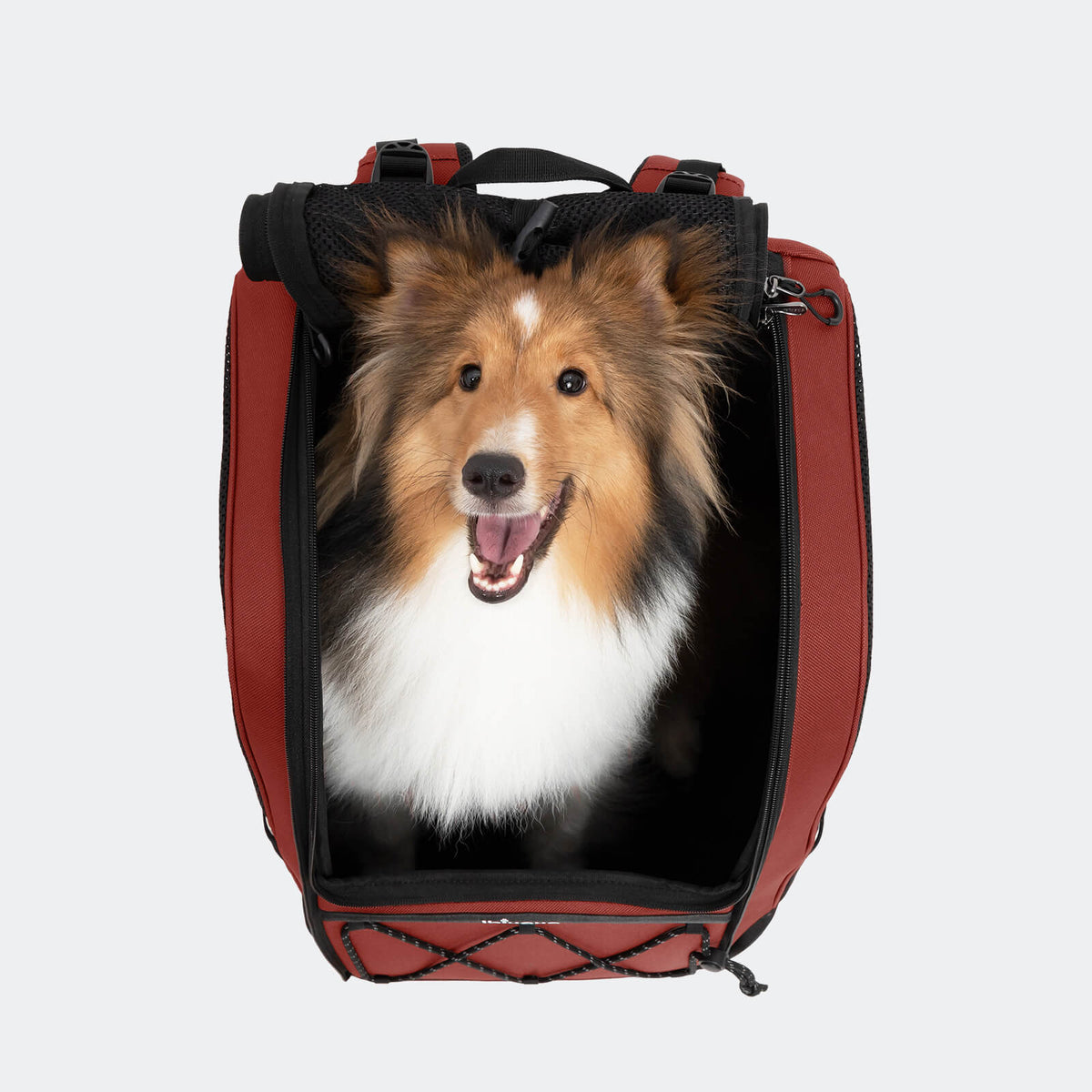 挑戰者中型犬寵物後背包